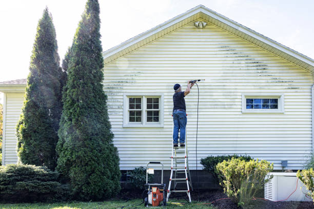 Best Graffiti Removal  in Whitfield, FL